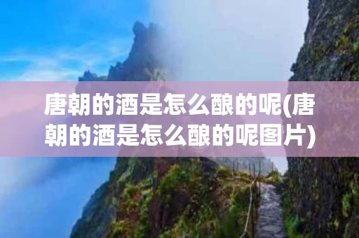 唐朝的酒是怎么酿的呢(唐朝的酒是怎么酿的呢图片)