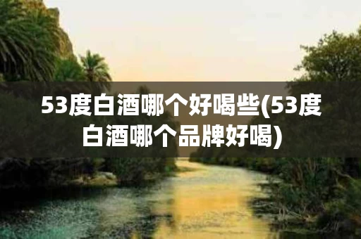 53度白酒哪个好喝些(53度白酒哪个品牌好喝)