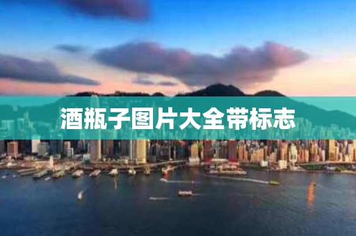 酒瓶子图片大全带标志