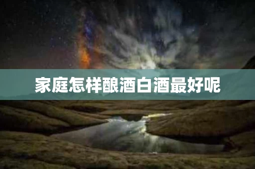 家庭怎样酿酒白酒最好呢