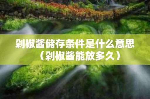 剁椒酱储存条件是什么意思（剁椒酱能放多久）