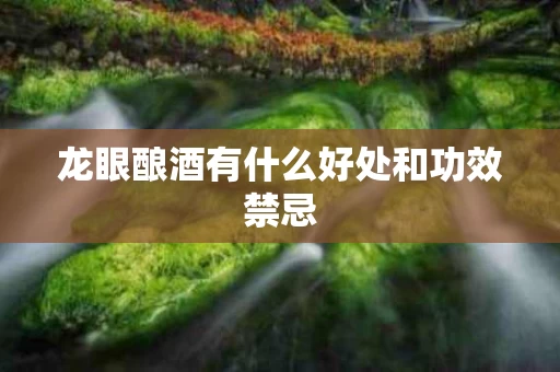 龙眼酿酒有什么好处和功效禁忌