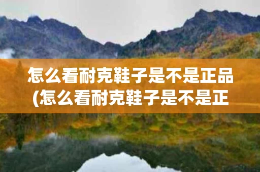 怎么看耐克鞋子是不是正品(怎么看耐克鞋子是不是正品鞋)