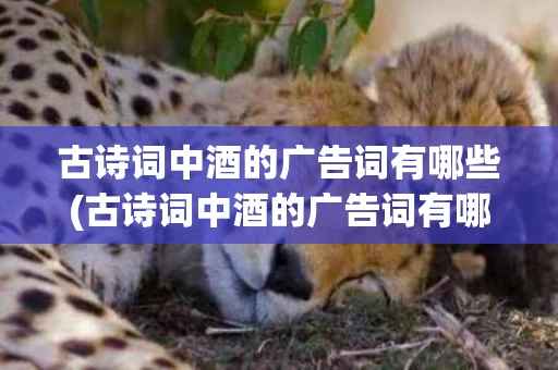 古诗词中酒的广告词有哪些(古诗词中酒的广告词有哪些呢)