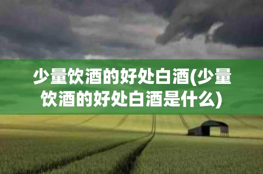 少量饮酒的好处白酒(少量饮酒的好处白酒是什么)