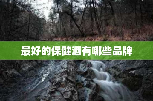 最好的保健酒有哪些品牌