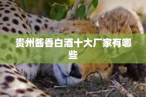 贵州酱香白酒十大厂家有哪些