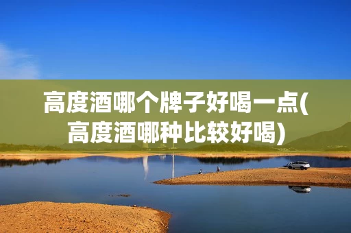 高度酒哪个牌子好喝一点(高度酒哪种比较好喝)