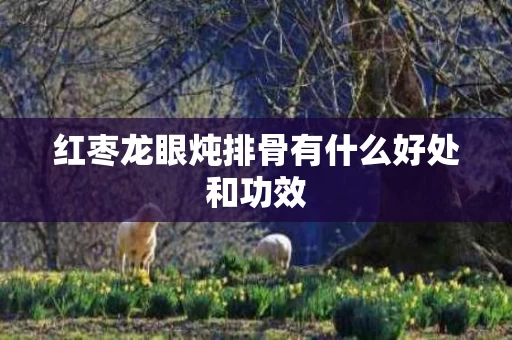 红枣龙眼炖排骨有什么好处和功效