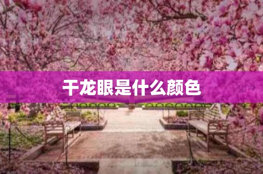 干龙眼是什么颜色