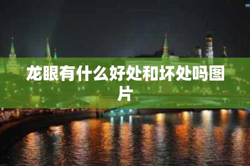 龙眼有什么好处和坏处吗图片