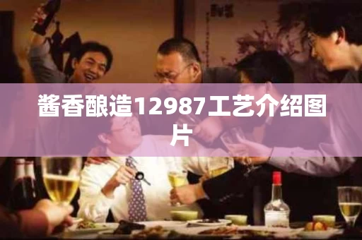 酱香酿造12987工艺介绍图片