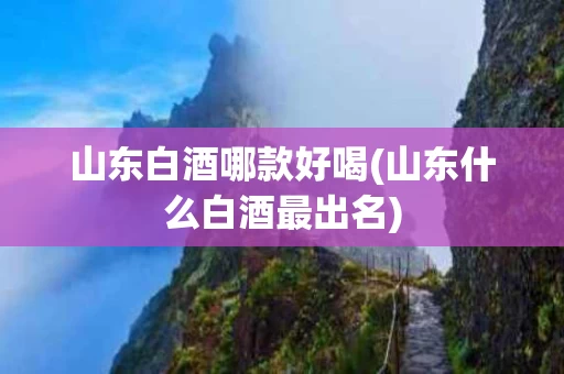 山东白酒哪款好喝(山东什么白酒最出名)