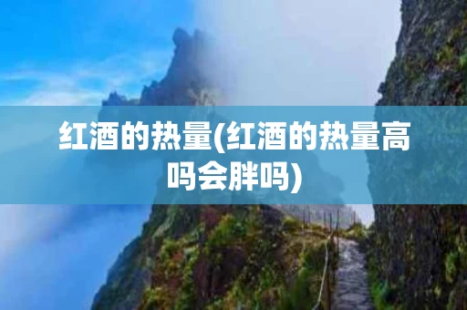 红酒的热量(红酒的热量高吗会胖吗)