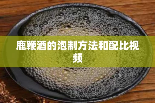鹿鞭酒的泡制方法和配比视频
