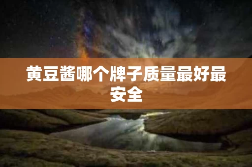 黄豆酱哪个牌子质量最好最安全