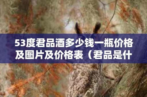 53度君品酒多少钱一瓶价格及图片及价格表（君品是什么酒）