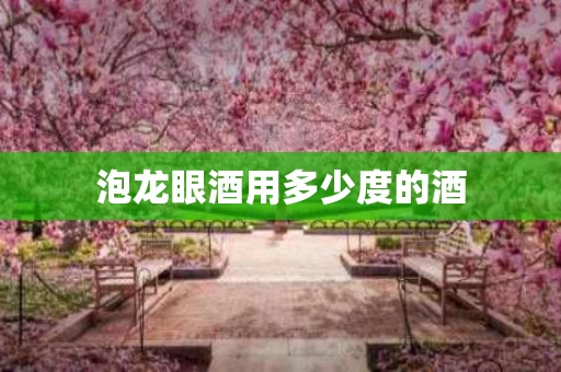 泡龙眼酒用多少度的酒