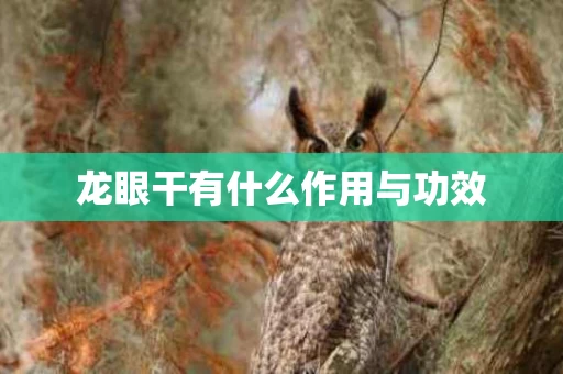 龙眼干有什么作用与功效