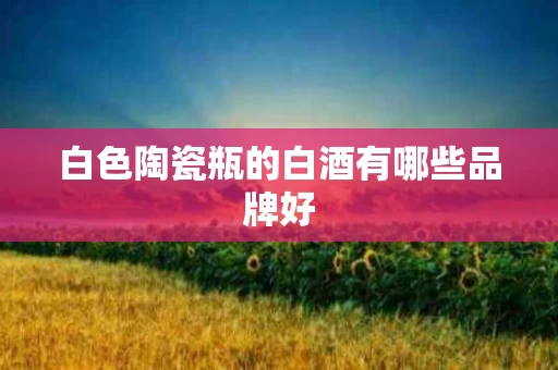 白色陶瓷瓶的白酒有哪些品牌好