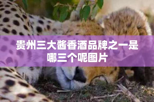贵州三大酱香酒品牌之一是哪三个呢图片