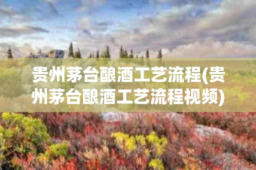 贵州茅台酿酒工艺流程(贵州茅台酿酒工艺流程视频)