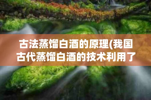 古法蒸馏白酒的原理(我国古代蒸馏白酒的技术利用了什么原理)