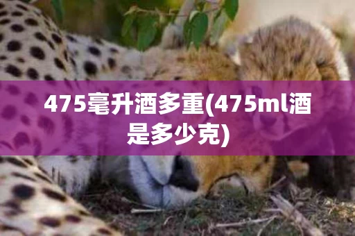 475毫升酒多重(475ml酒是多少克)