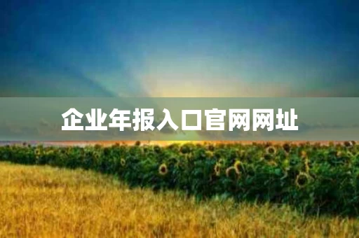 企业年报入口官网网址