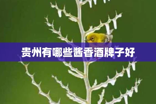 贵州有哪些酱香酒牌子好
