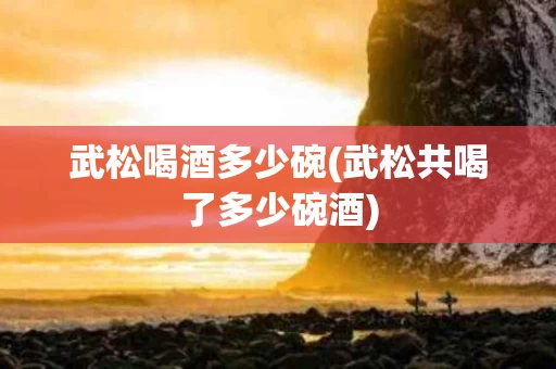 武松喝酒多少碗(武松共喝了多少碗酒)