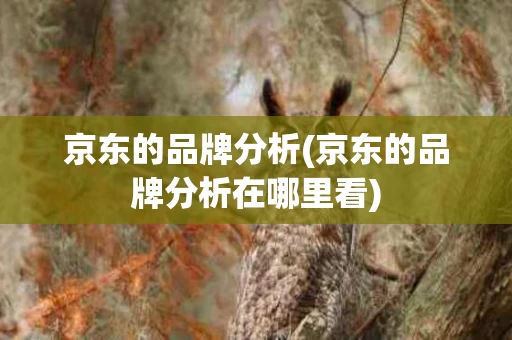 京东的品牌分析(京东的品牌分析在哪里看)