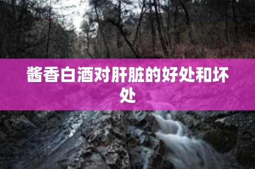 酱香白酒对肝脏的好处和坏处