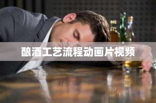 酿酒工艺流程动画片视频