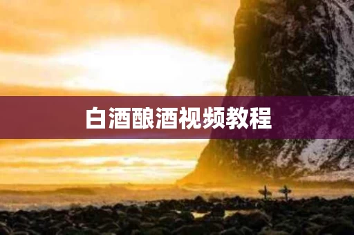 白酒酿酒视频教程