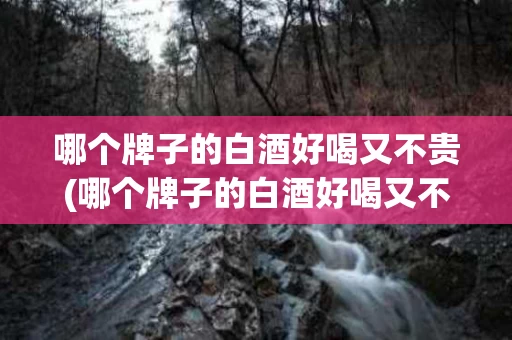 哪个牌子的白酒好喝又不贵(哪个牌子的白酒好喝又不贵又便宜)