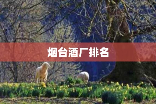 烟台酒厂排名