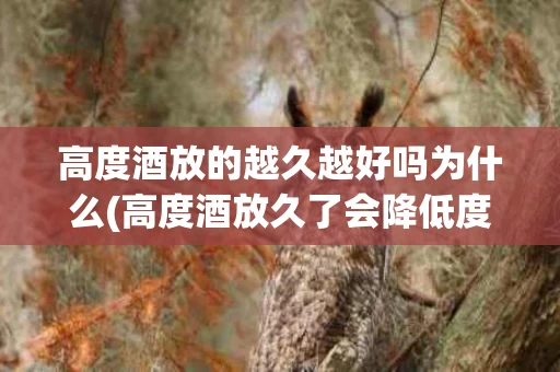 高度酒放的越久越好吗为什么(高度酒放久了会降低度数吗)
