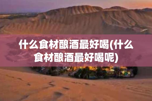 什么食材酿酒最好喝(什么食材酿酒最好喝呢)