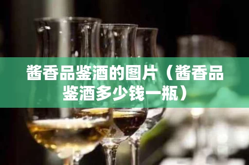 酱香品鉴酒的图片（酱香品鉴酒多少钱一瓶）