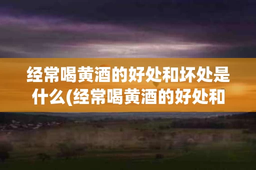 经常喝黄酒的好处和坏处是什么(经常喝黄酒的好处和坏处是什么意思)