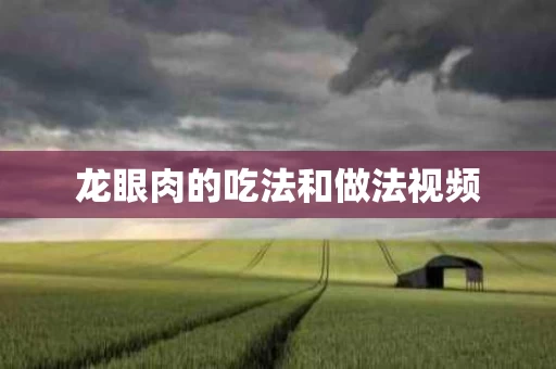 龙眼肉的吃法和做法视频