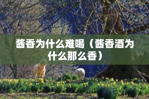 酱香为什么难喝（酱香酒为什么那么香）
