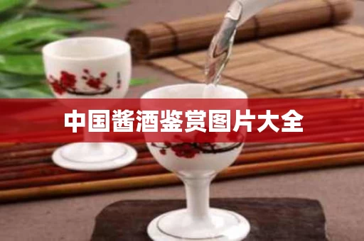 中国酱酒鉴赏图片大全