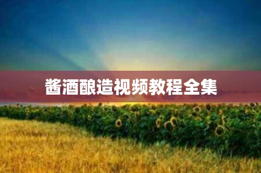 酱酒酿造视频教程全集