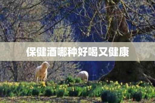 保健酒哪种好喝又健康