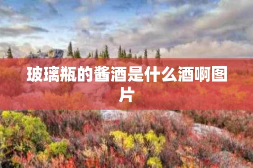 玻璃瓶的酱酒是什么酒啊图片