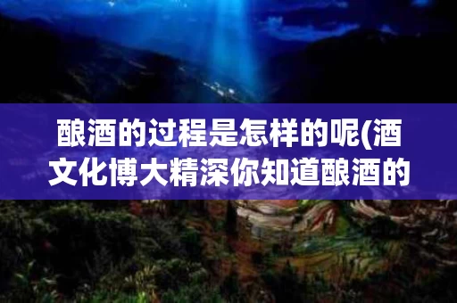 酿酒的过程是怎样的呢(酒文化博大精深你知道酿酒的过程是怎样的吗)