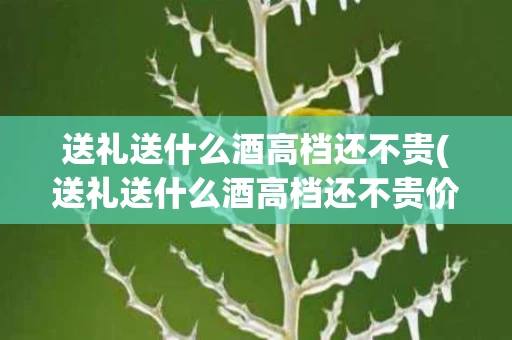 送礼送什么酒高档还不贵(送礼送什么酒高档还不贵价格)