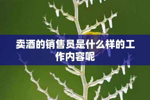 卖酒的销售员是什么样的工作内容呢